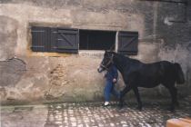 tulira1988.jpg